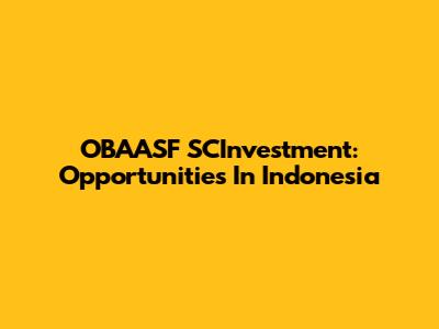 OBAASF SCInvestment: Opportunities In Indonesia