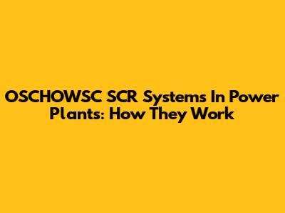 OSCHOWSC SCR Systems In Power Plants: How They Work