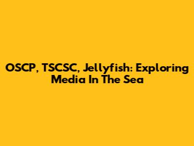 OSCP, TSCSC, Jellyfish: Exploring Media In The Sea