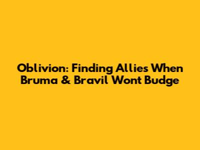 Oblivion: Finding Allies When Bruma & Bravil Won't Budge
