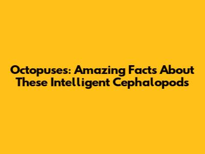 Octopuses: Amazing Facts About These Intelligent Cephalopods