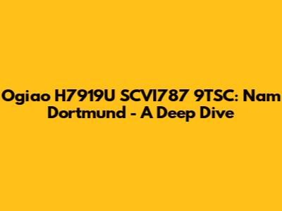 Ogiao H7919U SCVI787 9TSC: Nam Dortmund - A Deep Dive
