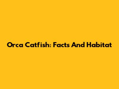 Orca Catfish: Facts And Habitat