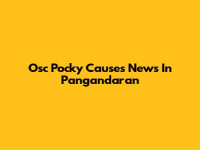 Osc Pocky Causes News In Pangandaran