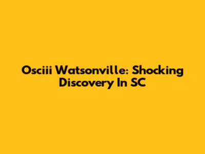 Osciii Watsonville: Shocking Discovery In SC