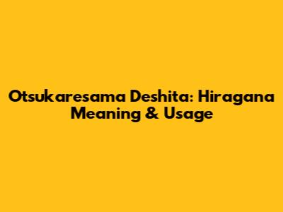 Otsukaresama Deshita: Hiragana Meaning & Usage