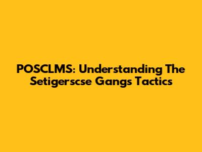 POSCLMS: Understanding The Setigerscse Gang's Tactics