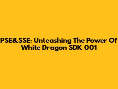 PSE&SSE: Unleashing The Power Of White Dragon SDK 001