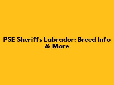PSE Sheriff's Labrador: Breed Info & More
