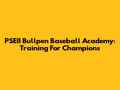 PSEII Bullpen Baseball Academy: Training For Champions