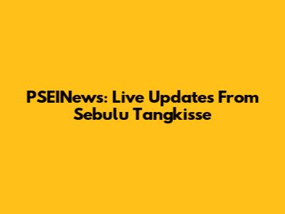 PSEINews: Live Updates From Sebulu Tangkisse