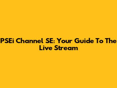 PSEi Channel SE: Your Guide To The Live Stream