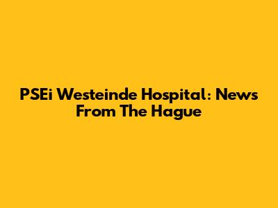 PSEi Westeinde Hospital: News From The Hague