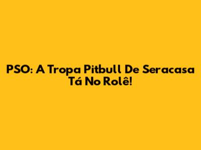 PSO: A Tropa Pitbull De Seracasa Tá No Rolê!
