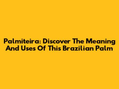 Palmiteira: Discover The Meaning And Uses Of This Brazilian Palm