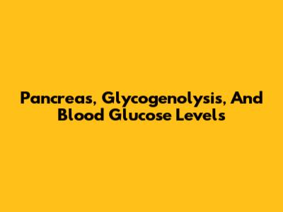 Pancreas, Glycogenolysis, And Blood Glucose Levels