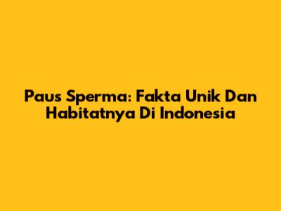 Paus Sperma: Fakta Unik Dan Habitatnya Di Indonesia