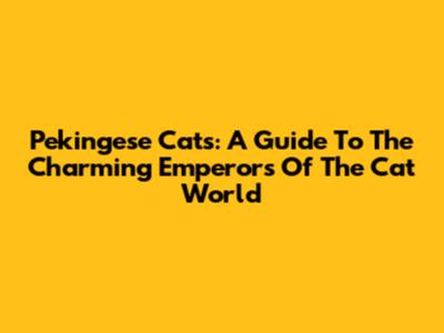 Pekingese Cats: A Guide To The Charming Emperors Of The Cat World