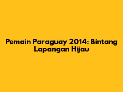 Pemain Paraguay 2014: Bintang Lapangan Hijau