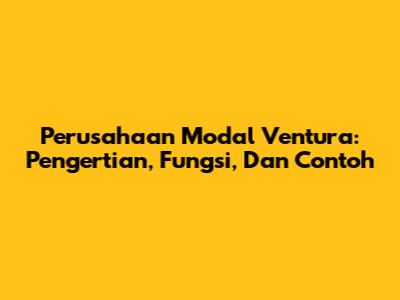 Perusahaan Modal Ventura: Pengertian, Fungsi, Dan Contoh