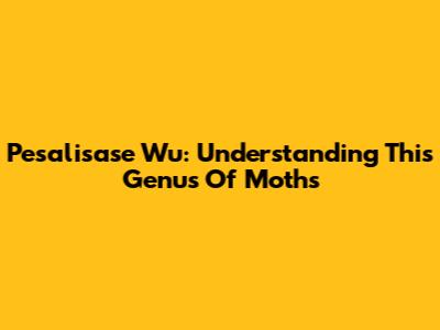 Pesalisase Wu: Understanding This Genus Of Moths