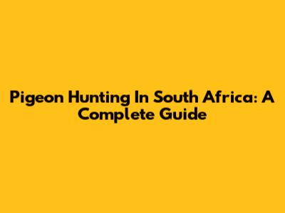 Pigeon Hunting In South Africa: A Complete Guide