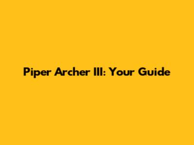 Piper Archer III: Your Guide