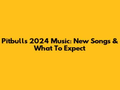 Pitbull's 2024 Music: New Songs & What To Expect