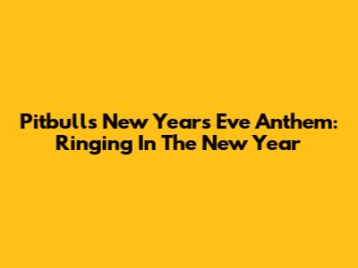 Pitbull's New Year's Eve Anthem: Ringing In The New Year