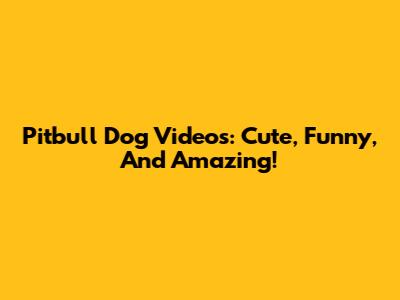 Pitbull Dog Videos: Cute, Funny, And Amazing!