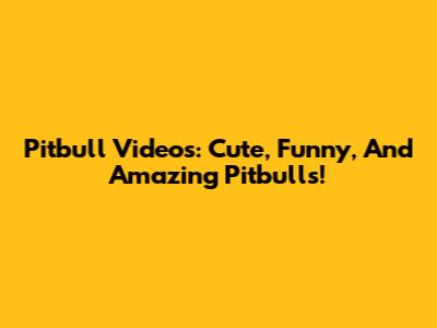 Pitbull Videos: Cute, Funny, And Amazing Pitbulls!