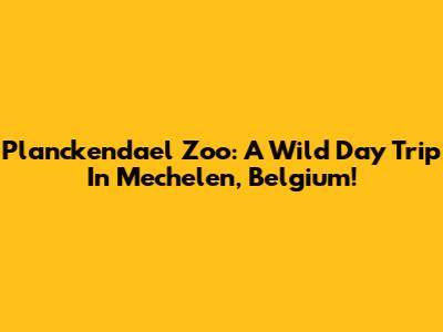 Planckendael Zoo: A Wild Day Trip In Mechelen, Belgium!