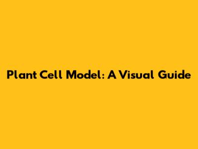 Plant Cell Model: A Visual Guide