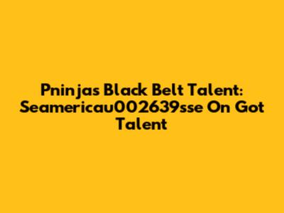 Pninja's Black Belt Talent: Seamericau002639sse On Got Talent