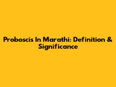 Proboscis In Marathi: Definition & Significance