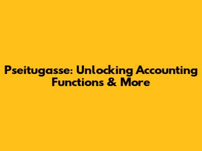 Pseitugasse: Unlocking Accounting Functions & More