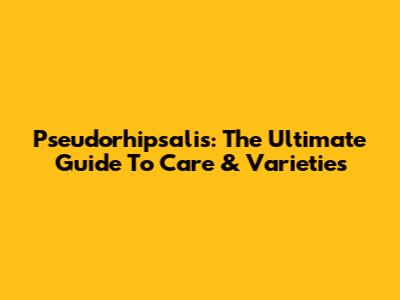 Pseudorhipsalis: The Ultimate Guide To Care & Varieties