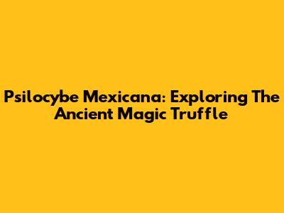 Psilocybe Mexicana: Exploring The Ancient Magic Truffle