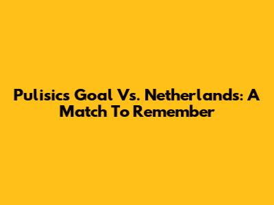Pulisic's Goal Vs. Netherlands: A Match To Remember