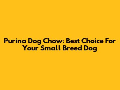 Purina Dog Chow: Best Choice For Your Small Breed Dog