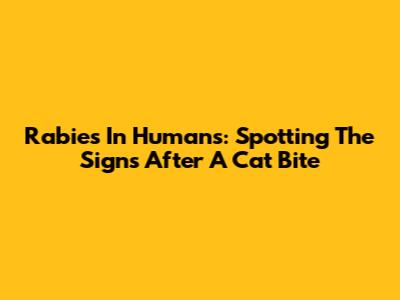 Rabies In Humans: Spotting The Signs After A Cat Bite