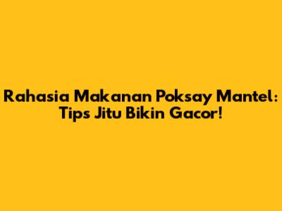 Rahasia Makanan Poksay Mantel: Tips Jitu Bikin Gacor!