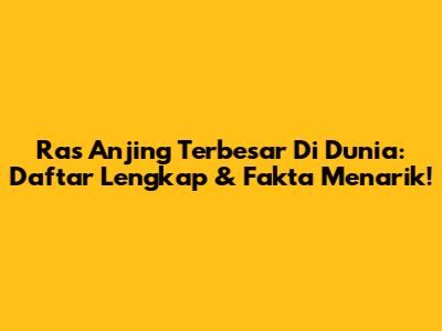 Ras Anjing Terbesar Di Dunia: Daftar Lengkap & Fakta Menarik!