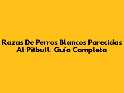 Razas De Perros Blancos Parecidas Al Pitbull: Guía Completa