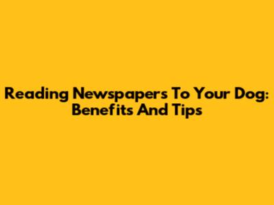 Reading Newspapers To Your Dog: Benefits And Tips