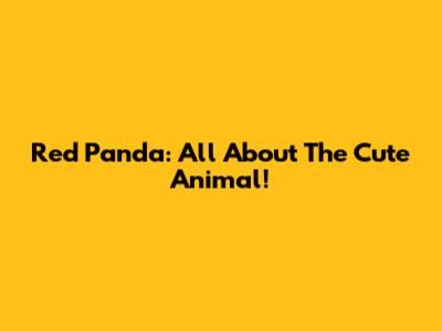 Red Panda: All About The Cute Animal!