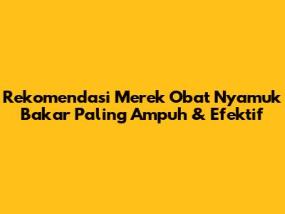 Rekomendasi Merek Obat Nyamuk Bakar Paling Ampuh & Efektif