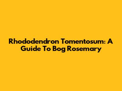 Rhododendron Tomentosum: A Guide To Bog Rosemary