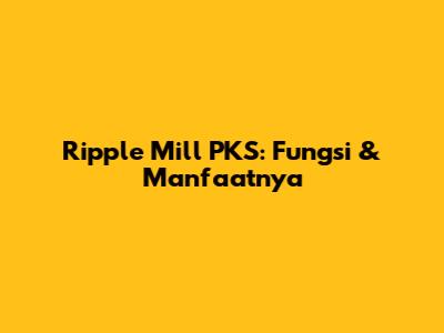 Ripple Mill PKS: Fungsi & Manfaatnya
