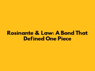 Rosinante & Law: A Bond That Defined One Piece